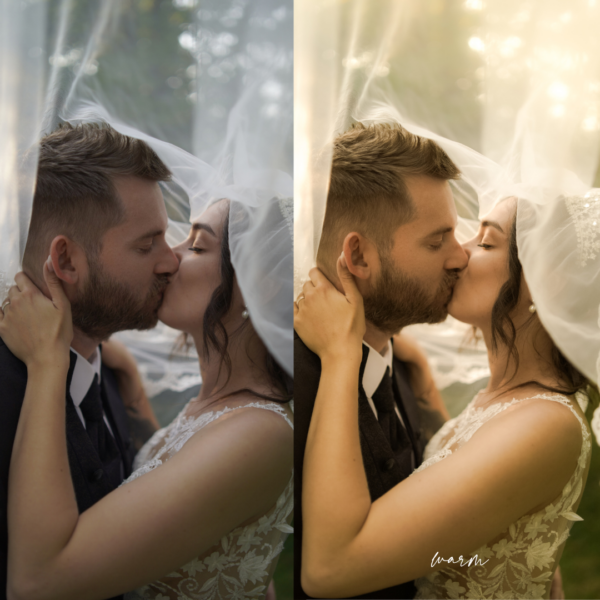 Preset Bundle – Bild 3