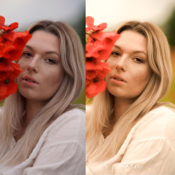 Preset Bundle – Bild 5